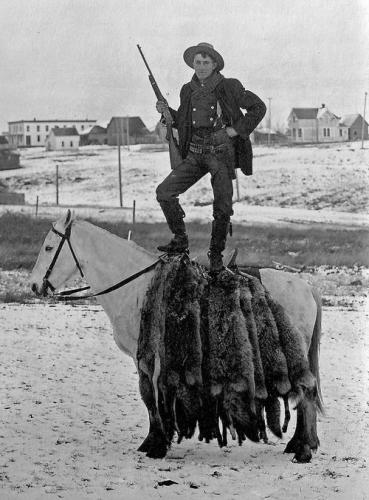 2517bb08bb2a3be74b9030854601e085