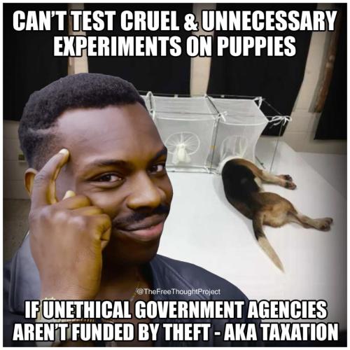 246816590_2654148578225673_6695245782787510370_n