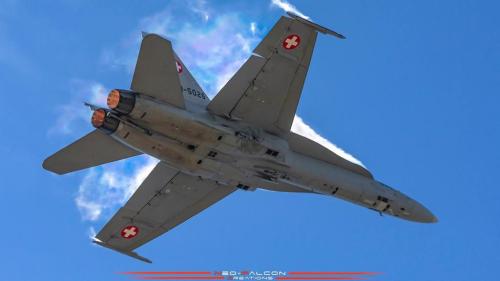 245036188_441808830847479_5914142941804095647_n