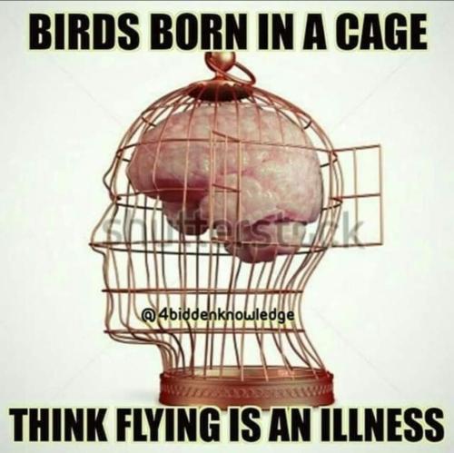 21:25:14 GMT-0400 (EDT)