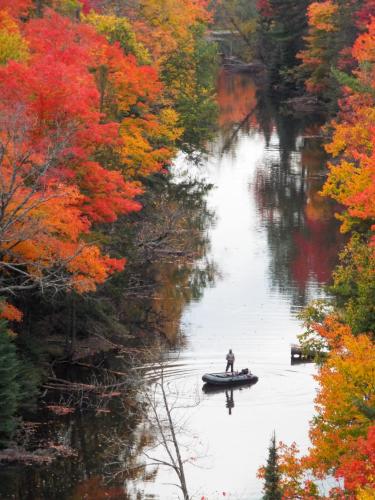 244135167_382211586954996_7464794852297718326_n