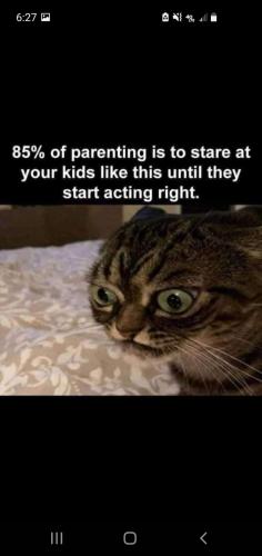 19:09:50 GMT-0400 (EDT)