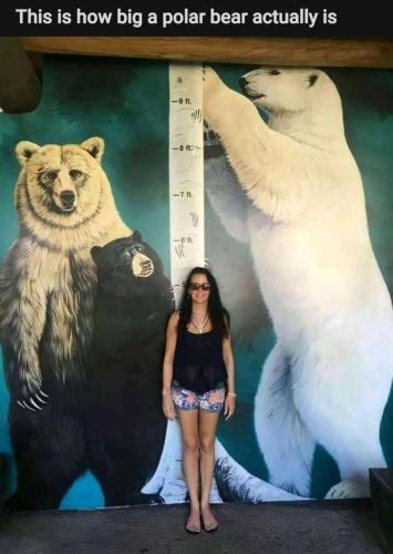 Screenshot_20211018-225521_Reddit