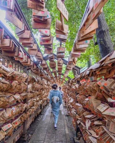 246333204_417033876459287_7920308493900046246_n