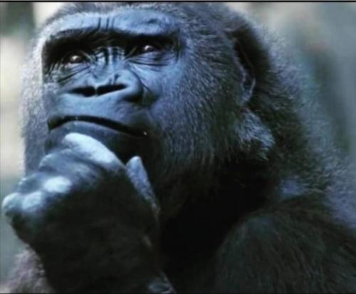 Screenshot_20211025-202358_Wimkin Uncensored