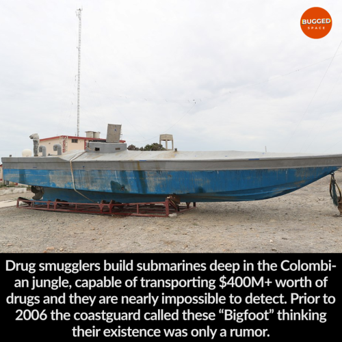 247556413_642139437192280_1630185017854466947_n