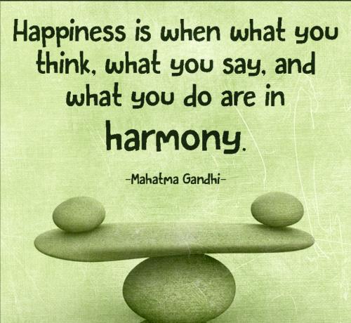 Happiness-is-when-what-you-think-what-you-say-and-what-you-do-are-in-harmony.