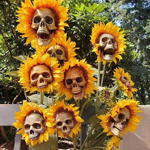 skulls sunflowers