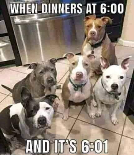 243347583_279633507341424_3686395670665999599_n