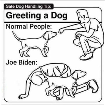 biden751
