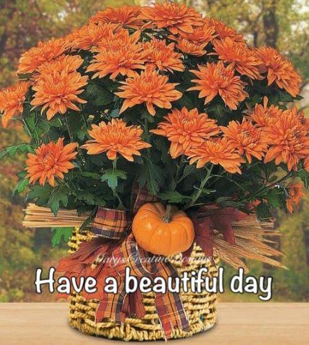 246144828_3031564337081363_4628604891233495477_n