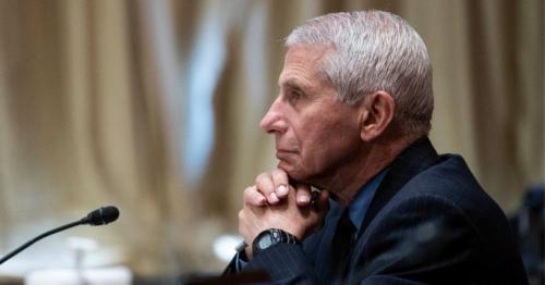 Anthony_Fauci_Rests