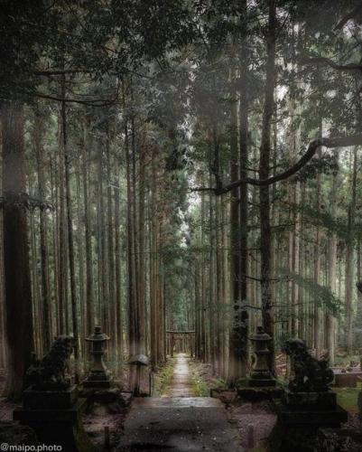 245757660_414363280059680_9020783467167142798_n