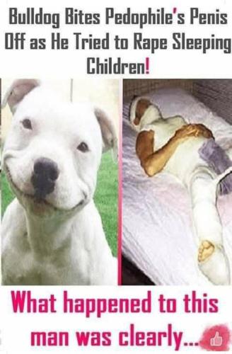 dog bit his dick off