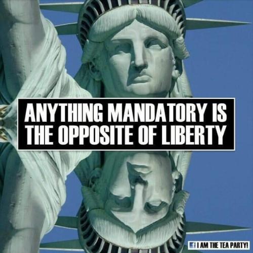 FB_IMG_1635030275669