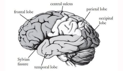 16:12:02 GMT-0500 (CDT)