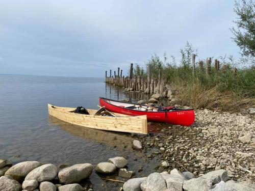 247238726_287844530007621_2979138185845600567_n