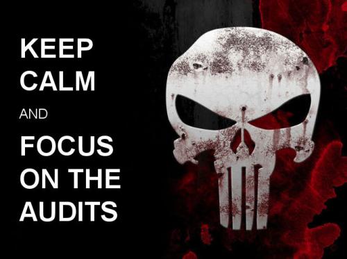 audits01