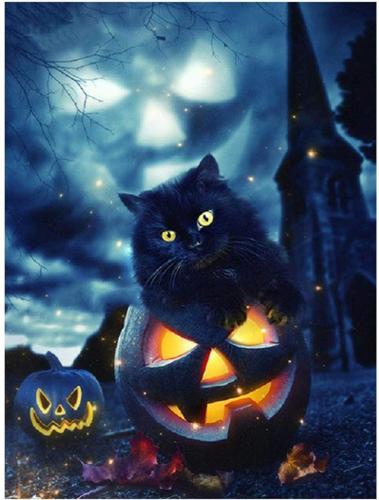 249843674_2791397657787505_3388303277111566128_n