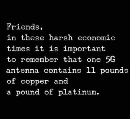 FB_IMG_1634149779425