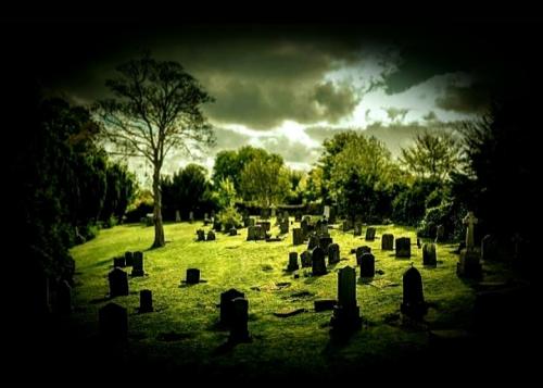 Screenshot_20211019-174912_Gallery