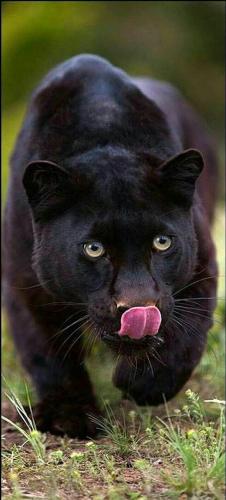 19:57:21 GMT-0500 (CDT)