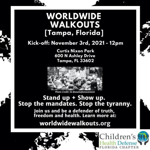 Tampa, Florida - Nov 3