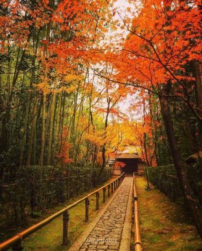 245539070_418561999639808_5965871765440757258_n