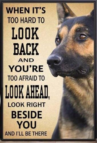 06:37:33 GMT-0500 (CDT)