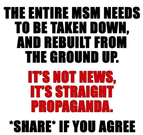 MSM is propaganda