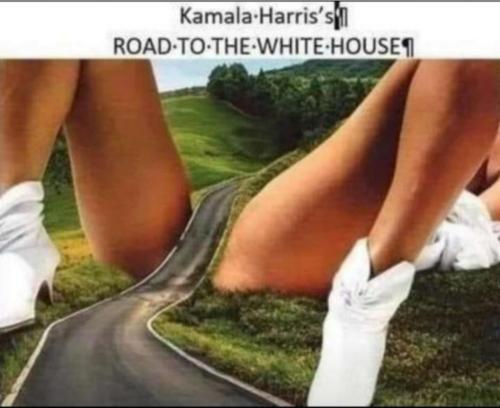 Screenshot_20211019-051351_Gallery