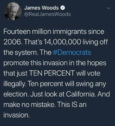 illegal immigration256