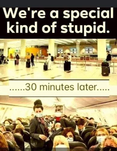 245884723_1285822431881392_7575071780452520117_n