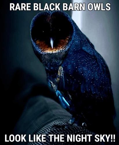 229225998_355870182702722_3455596065431180770_n