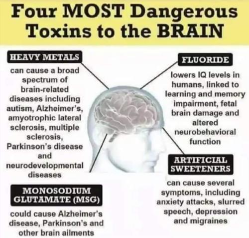 FB_IMG_1635020297977