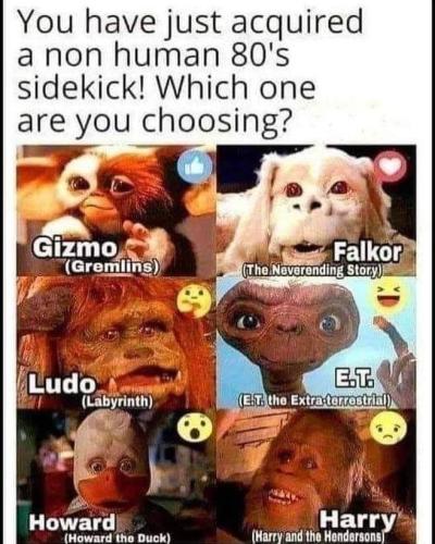 FB_IMG_1635226619032