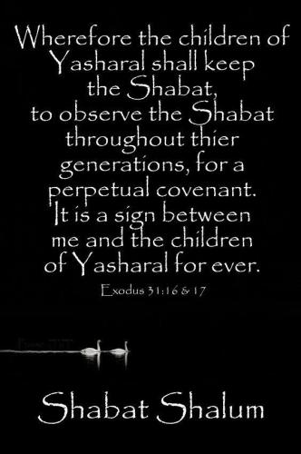 13138767_874411319351489_8739543399490722998_n