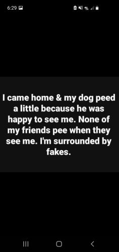 19:11:48 GMT-0400 (EDT)