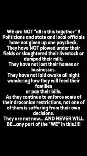 Screenshot_20211019-070720_Wimkin Uncensored
