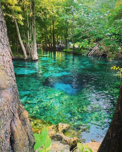 C6511E75-2FE9-4885-81F0-CDB537E0B404