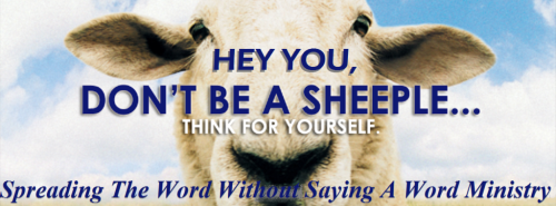 50592024_2140226432726143_6524610460031909888_n