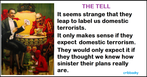 domestic_terrorists_the_tell