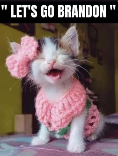 11:28:09 GMT-0500 (CDT).image