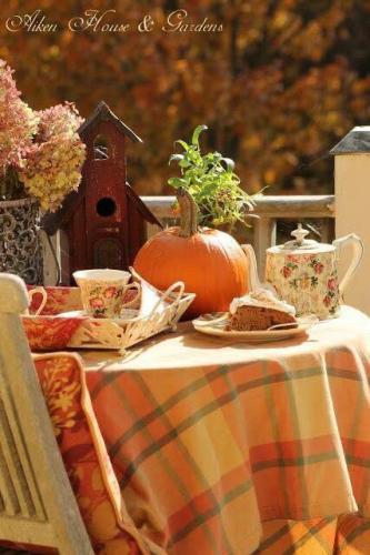 244301155_2006822062817999_5701605045423103235_n