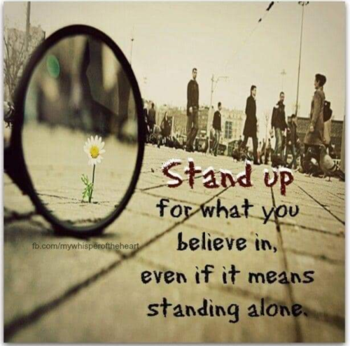 Screenshot_20211006-193542_(1)