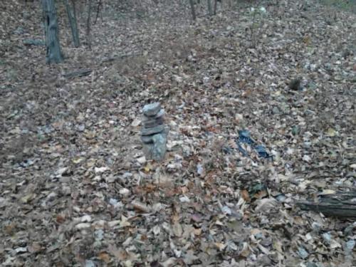 FB_IMG_1634787253912