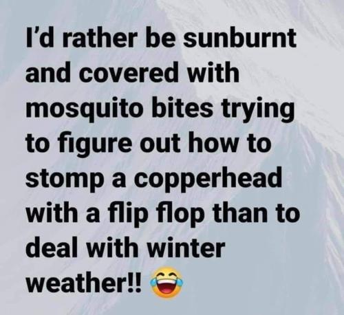 FB_IMG_1635218785710