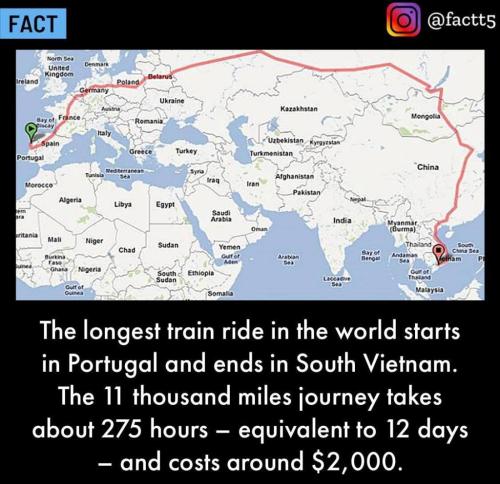 244782050_4475284969188104_1987915135833127299_n