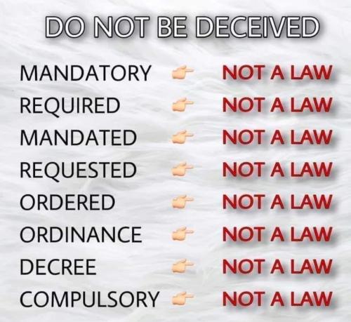 237799287_10159752678901528_632060237036898991_n