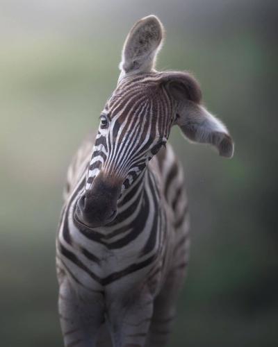 tumblr_ea38bd563b541d2b31e212ca481a6767_0b7ca291_540